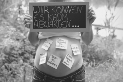bauch014
